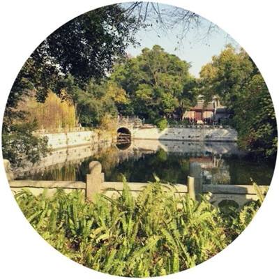 全民炫斗免费版下载